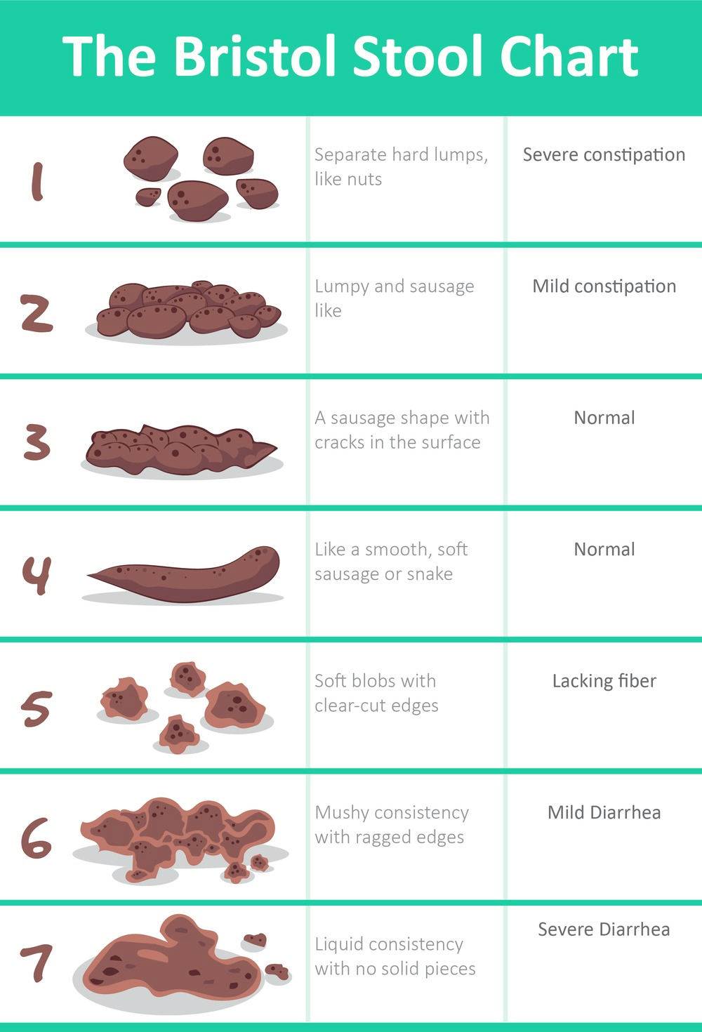 Stool Grading Chart